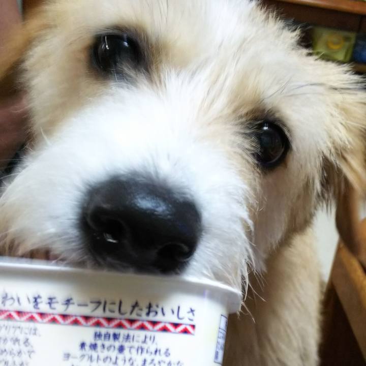 Ca747333 a12f 4999 b51c 6f2045eafd7b 1532035720976