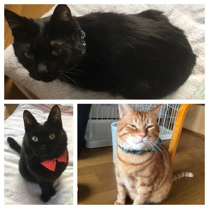 Ca7488ba 9182 4c64 b3fd 0a43afc35049 1549840187790