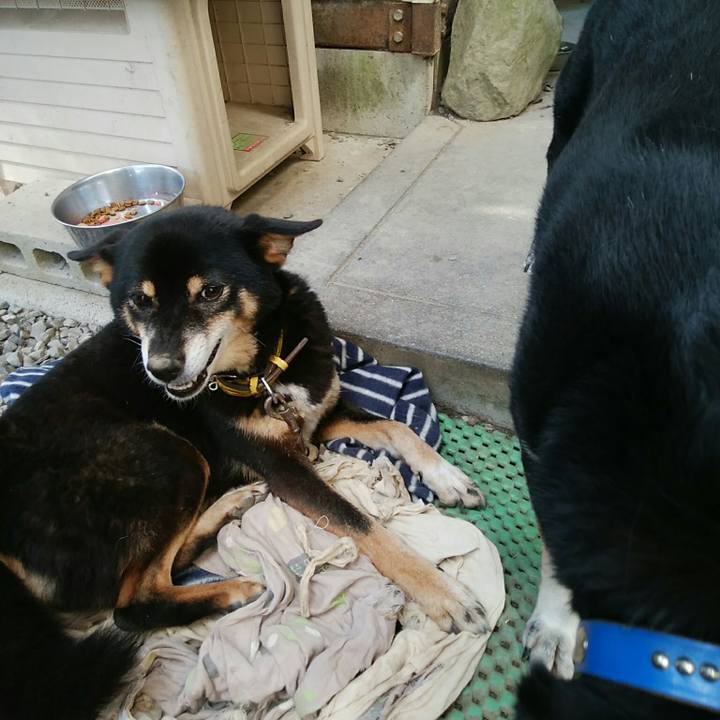 Ca7493a7 e36c 4b94 9864 9dfce03a6b44 1538454834262