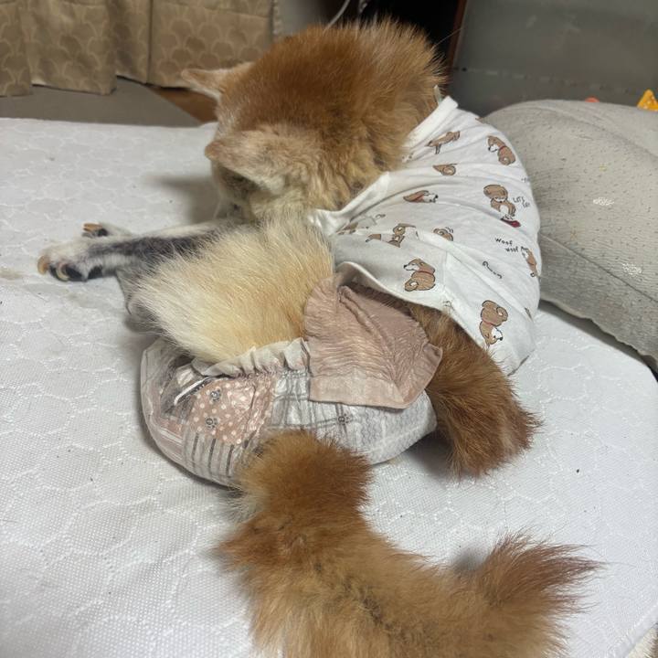 Ca74a0ab eeb5 4ea0 b341 21b5722b28cf 1775691853748