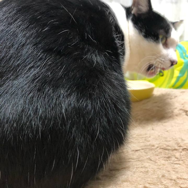 Ca74c1d9 838e 4b6b a8a9 3c0319ca7189 1547379634269