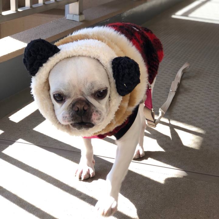 Ca74cd5a 92ba 4101 ae68 f4491d7057f9 1550886910019