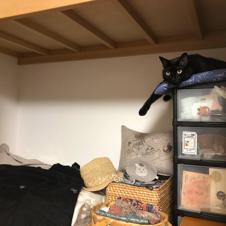 Ca7521f5 c09f 4f8c 9d09 e54d4eb1570f 1596217142971