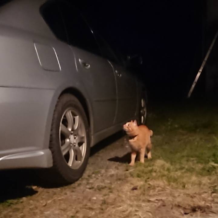 Ca7533f6 d4a5 4753 9bbd 11dd017f107f 1654169091385