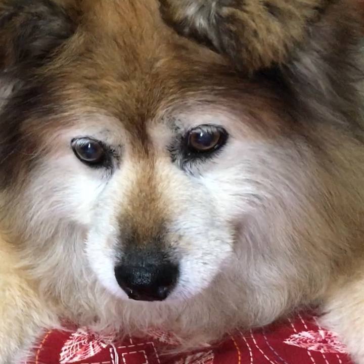 Ca757072 8280 4700 87eb 6cc83ccf01c5 1630876879858