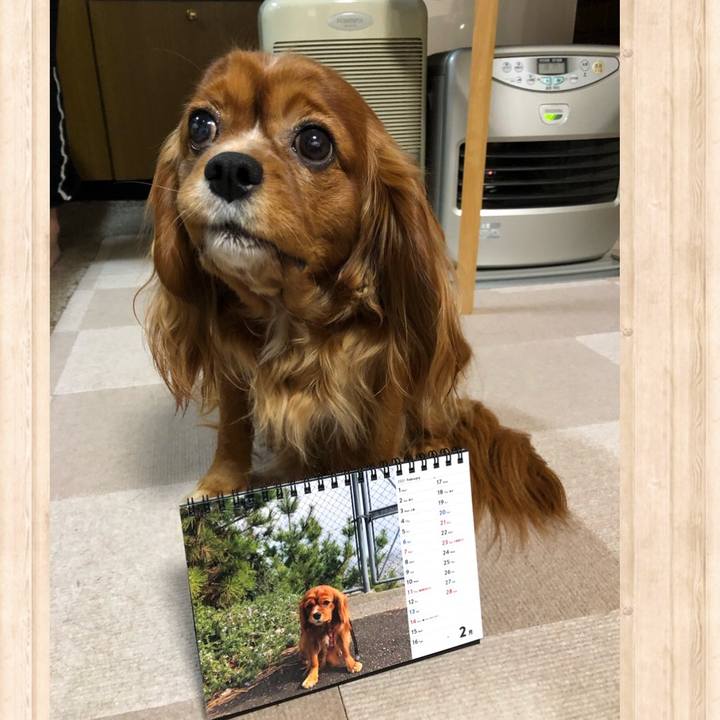 Ca75816b e7f6 4b45 93d3 4150be57a6e3 1612131506281