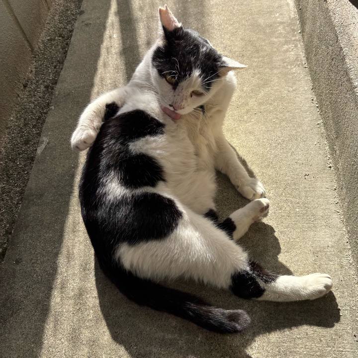 Ca758e6a bf69 477b 9953 29f0a65e8920 1763693204660