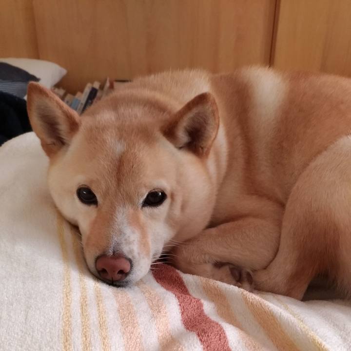 Ca759739 c6d8 4d03 8d27 b94419794de5 1612483903955