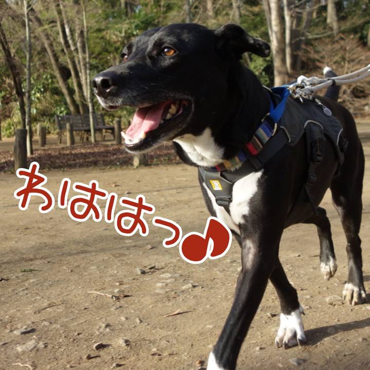 Ca759f1c 2daf 4e2a b3e7 7dea3d0023dd 1647477685817