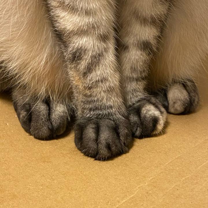 Ca75a5b3 e482 40c6 b96e 065c215105f2 1696671316385