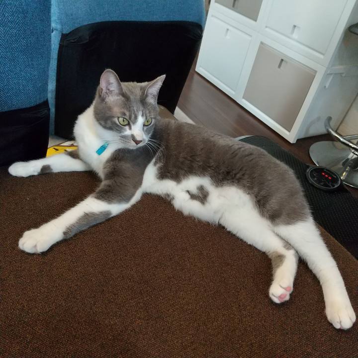 Ca763625 aa17 4988 bac5 d5723f691d91 1619231802786