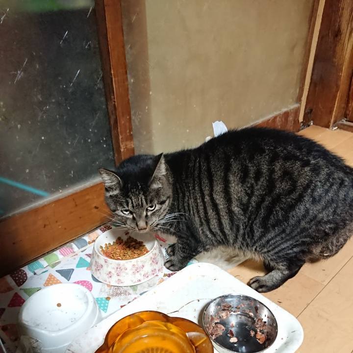 Ca763ce4 10b0 4905 afa1 f63a07e048e7 1634726785932