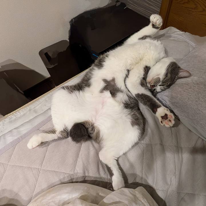 Ca766e30 2572 4657 91b2 418823c315e6 1725454467517