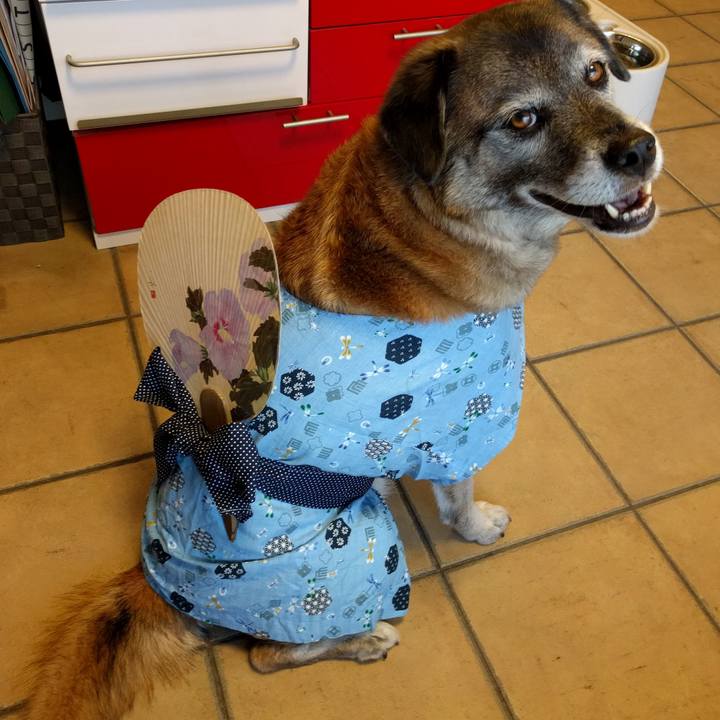 Ca766eb3 9bfa 4393 bdba 38a626a3a3fd 1751761262274