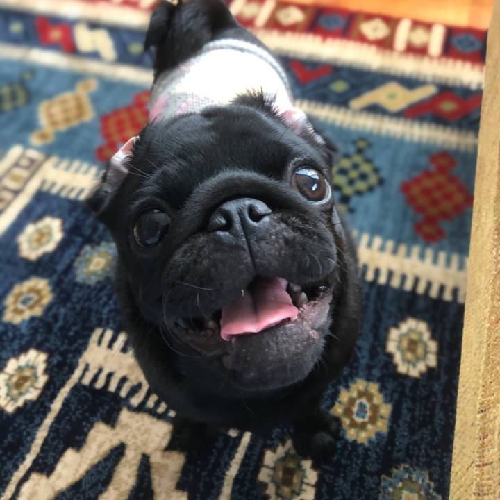 Ca767826 9990 4e70 be76 e3d94a7fa4cb 1603323480225