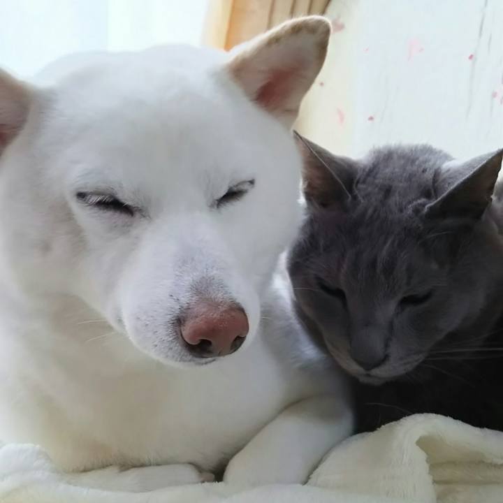 Ca76a939 2944 442f 8fca 5daa0249e81e 1523237453302