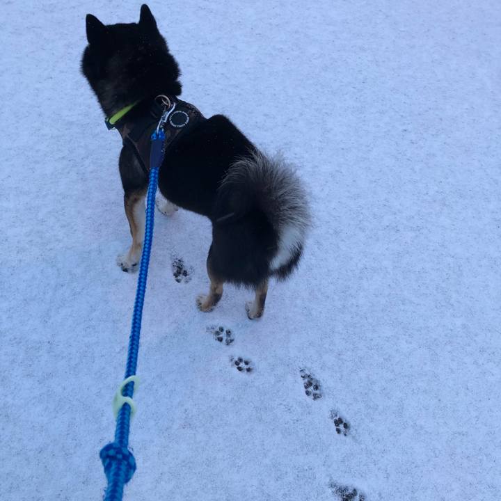 Ca76b28c 13cc 4e86 9919 d4dda2774f39 1552610638273