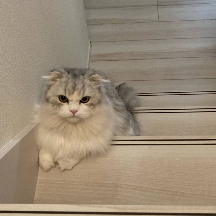 Ca76b92b 67a8 42f4 bef7 02fb25d8f5b3 1632357016819