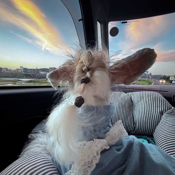 Ca76cc40 cb8c 460c 8f66 6112743dc135 1760692780610