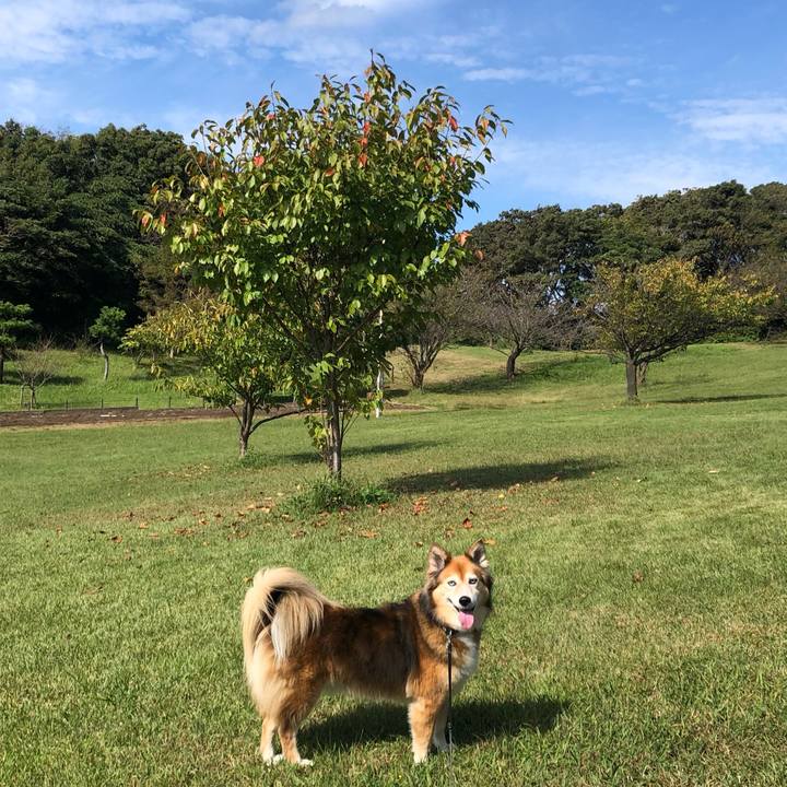 Ca76fd2a ce3c 4ec3 a228 6699eb0d3bca 1666539810598