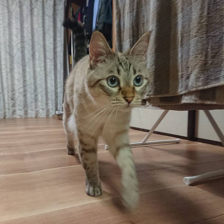 Ca770a00 2165 45a9 85e5 7ae3a7500a21 1570883421798