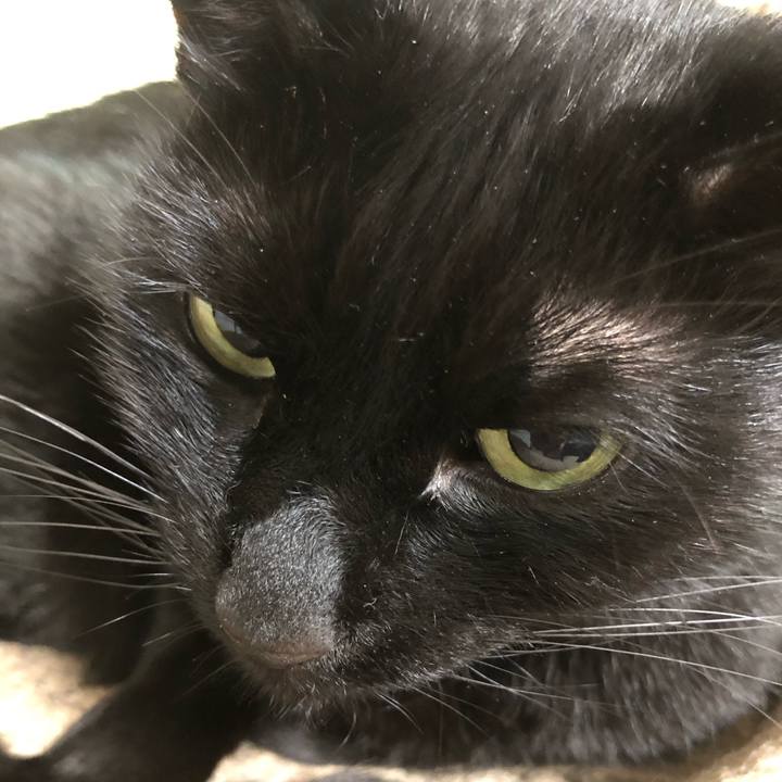 Ca772710 c024 4191 8faf 037b710770d2 1613307190355