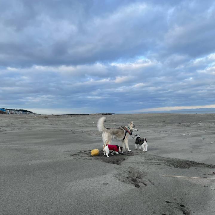 Ca772d23 df09 4e9e 9bc9 ecdf7659382f 1705709653626