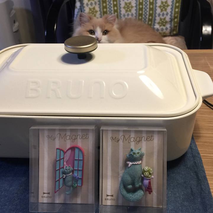 Ca772da9 7b28 40bc 91d5 509278dfd933 1556264225618