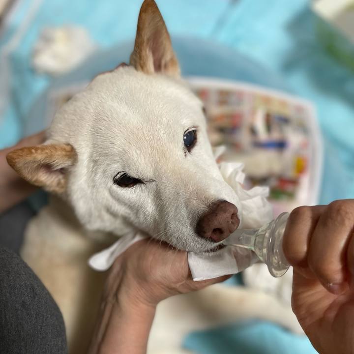 Ca7755a8 b170 4e37 80aa ca67ef6bbc0d 1651924946038