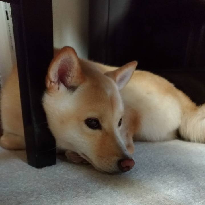 Ca77590c 72a6 4be1 a769 d465ee97c85f 1535804687116