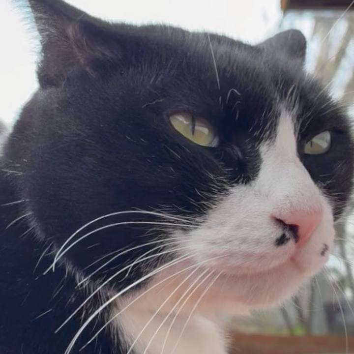 Ca775eed 3b7d 4d3f b71f 9cc6938c57b9 1772893067768