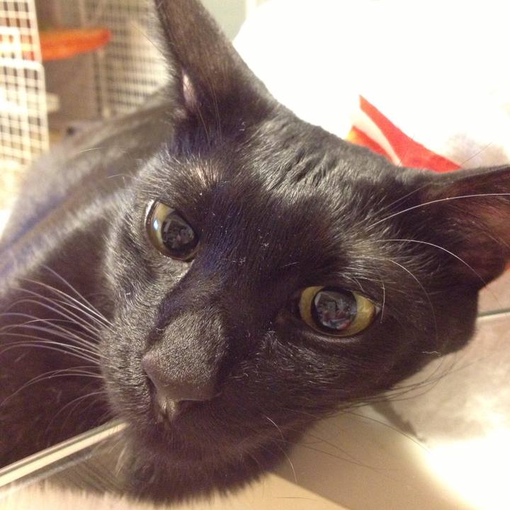 Ca77690d 5c8d 4be3 9774 eb4d808156d6 1523086504096