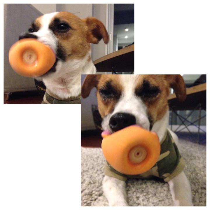 Ca776a31 eb0d 44d2 8709 f903e1e30464 1657715901855