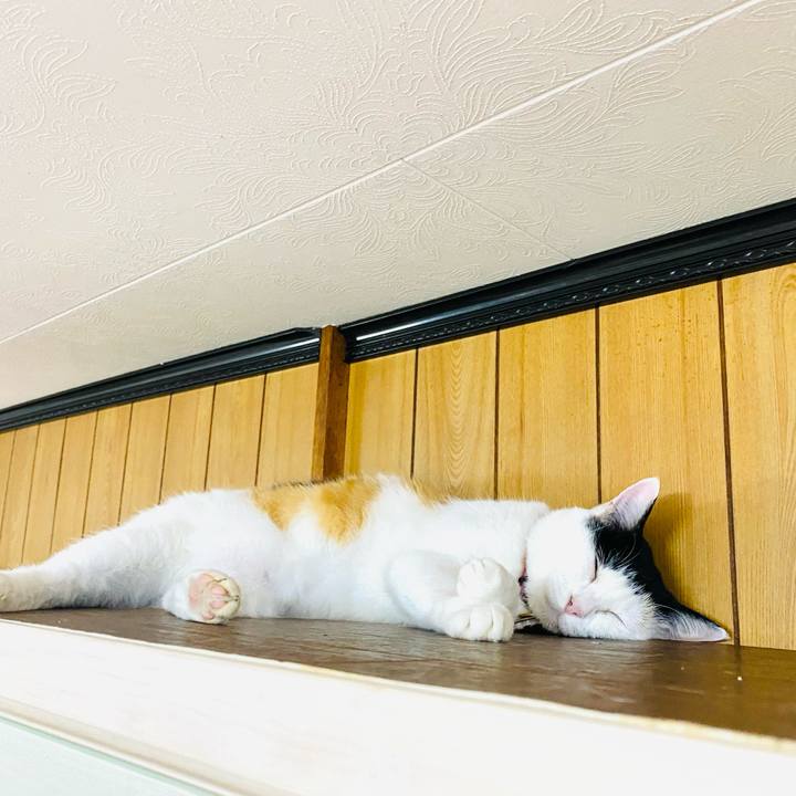 Ca776fdb 488b 46cd 8709 2d4ffff6c74f 1720478707940