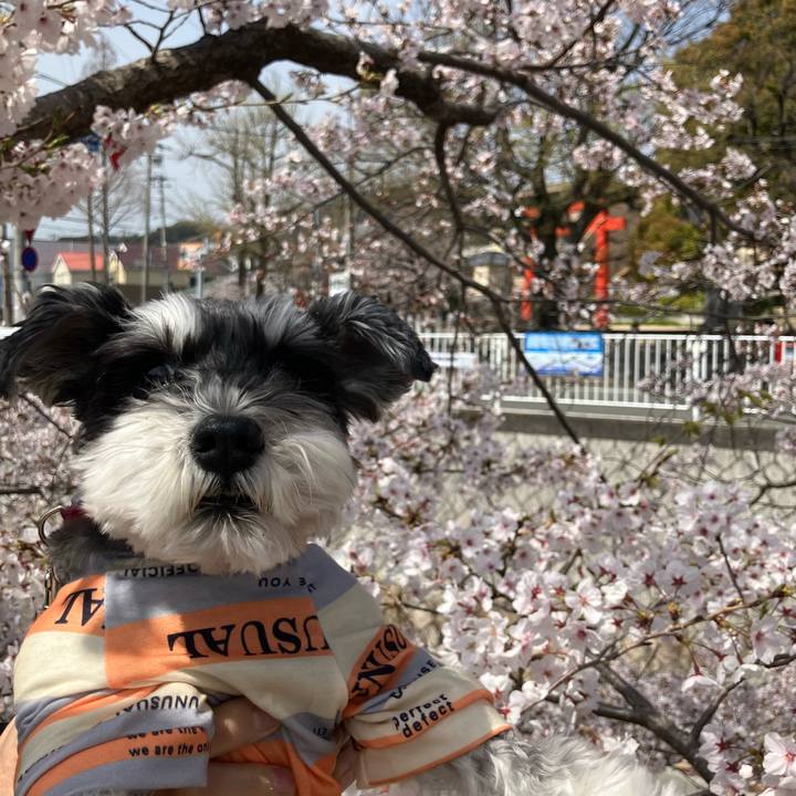 Ca779be1 801a 40a3 b941 3bad29624844 1743828793005