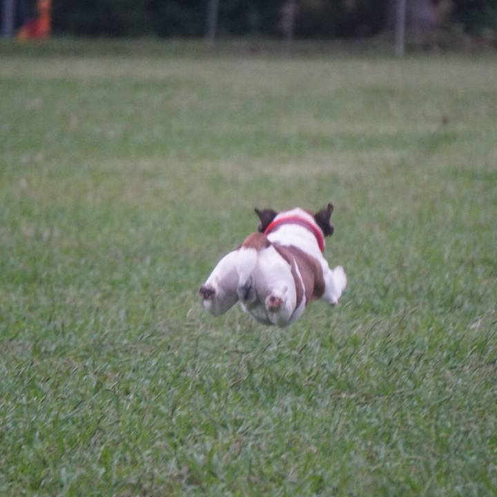 Ca77a9a2 c80a 4cf9 9b68 3316dffe1fe9 1571265482797