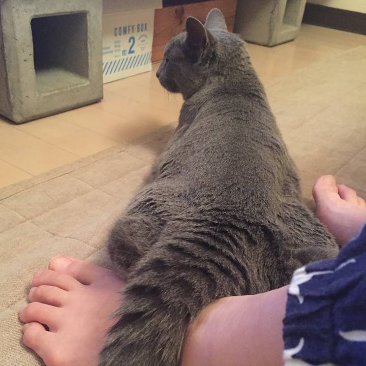 Ca77ae31 88b6 4875 92a9 7953e6e7f467 1539299707876