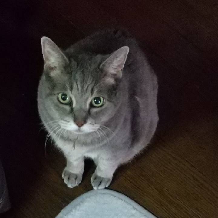 Ca77aff6 3cb4 4610 8845 9b539ebc00f3 1632524244345