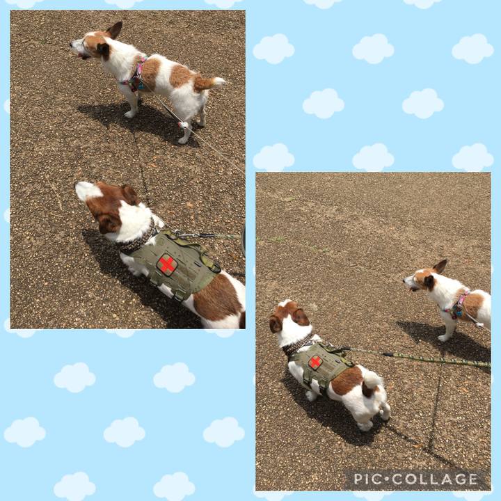 Ca780326 99f8 4d53 b140 9fd66d7e68de 1655681699877