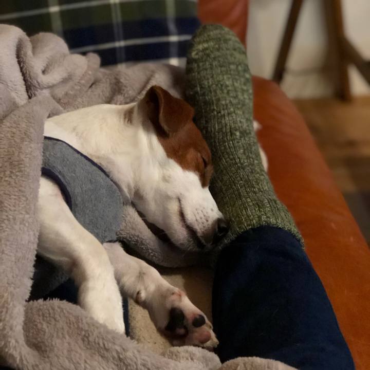 Ca783d97 a6d3 4ad0 afef 789108e9dc81 1548660823630