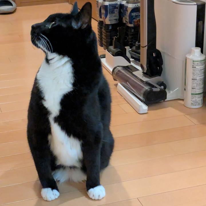 Ca785dd5 db3d 41c7 a71a e38b9da241b5 1763895191385