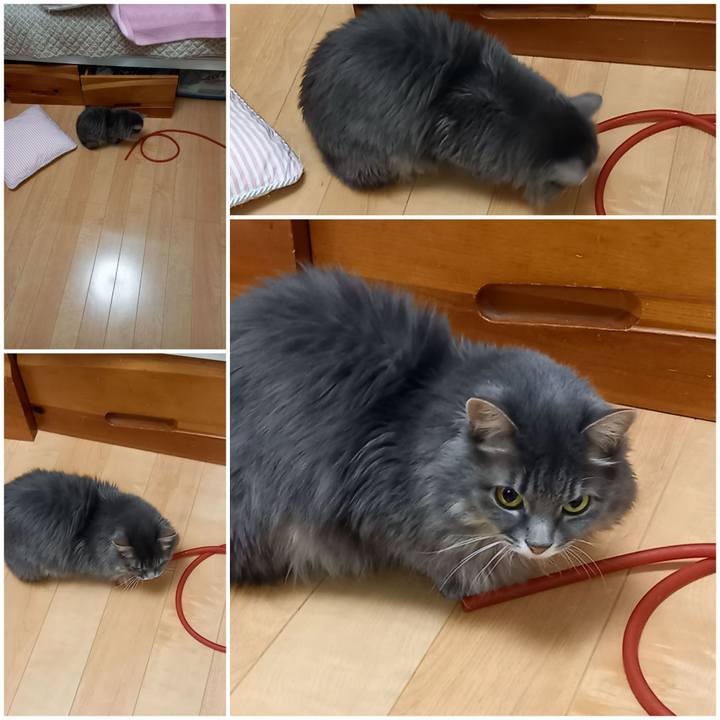 Ca787ae1 40b8 4fde b654 d2f323c048f2 1603801622207