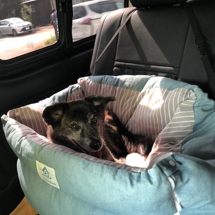 Ca7925f5 13f7 463b a0e1 3f0afe101f0d 1690203771217