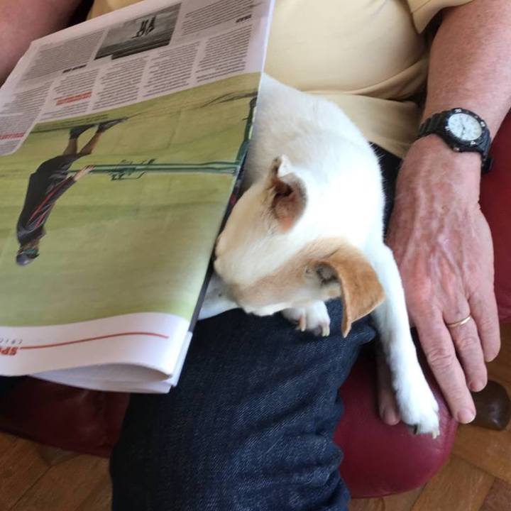 Ca797872 0eb2 4b52 9886 7b82e11399d9 1766755633160