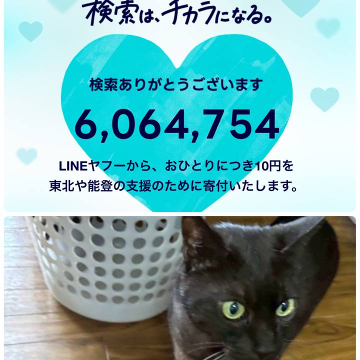 Ca798353 ab1a 4cc7 b6d6 f107186a9ff3 1773212190771