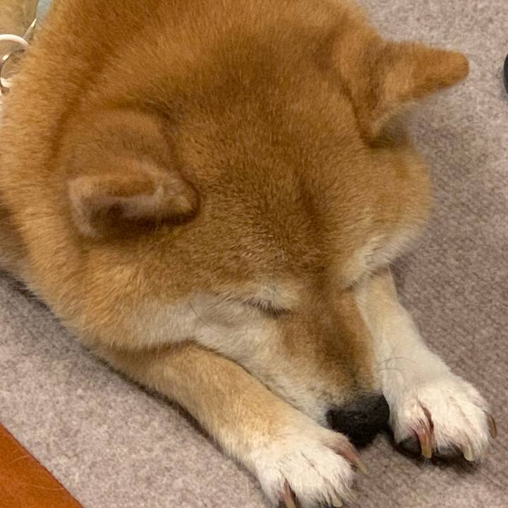 Ca79843d 5895 48b7 8acd 2cf201d5fd95 1562930838316