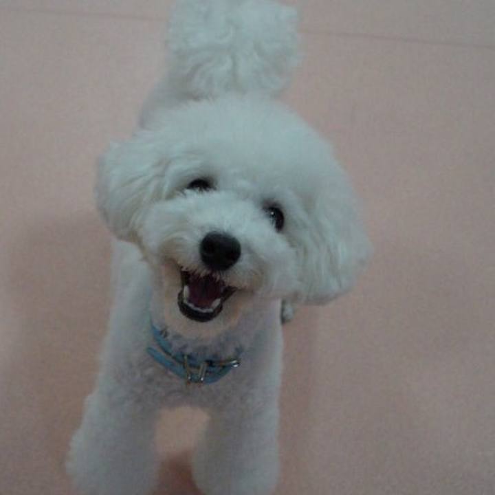 Ca79c9d5 222b 4fcf acb2 bad98981116a 1519897161313