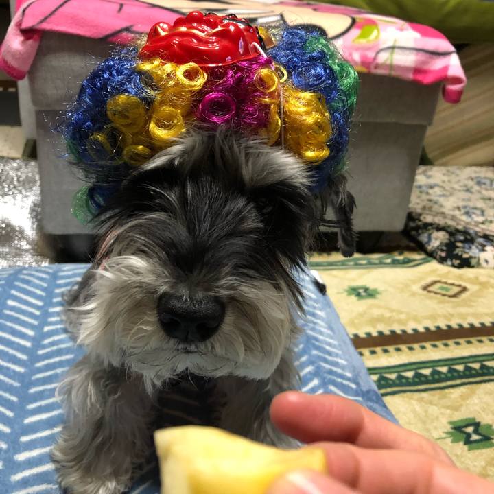 Ca79fb26 8794 4b59 837a 2499a501bb04 1675428096538