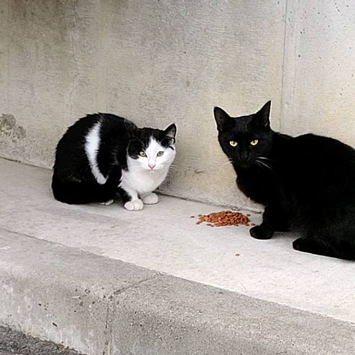 Ca7a06ef 9c57 42a6 9c6b 1aeb3d591b99 1607469721338