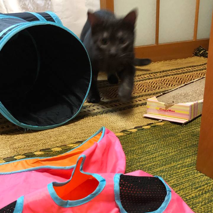 Ca7a3515 f95e 40aa 86f5 406e780cba10 1599135709561